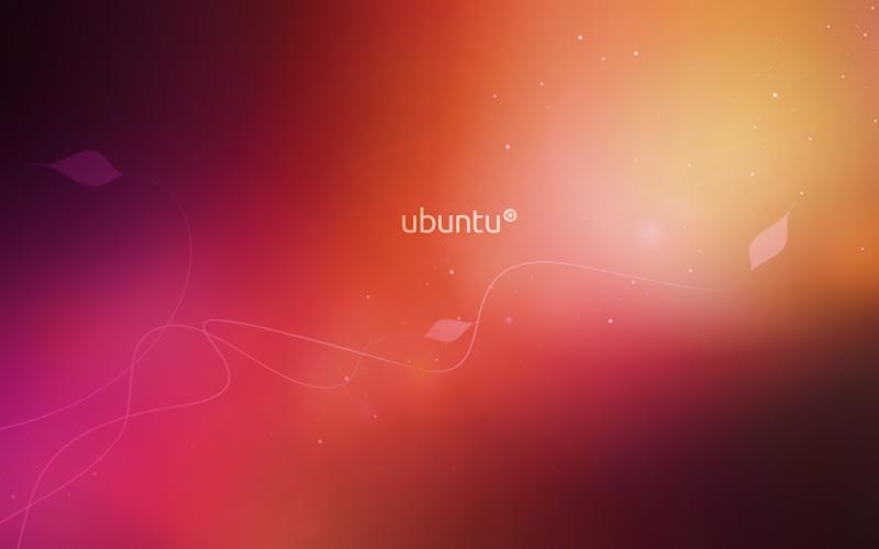 wallpaper ubuntu 10.04. Lucid Lynx Wallpaper