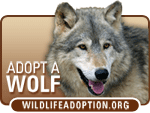 fs_sticker_adopt_wolf.gif